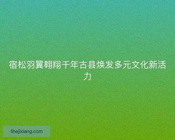 宿松羽翼翱翔千年古县焕发多元文化新活力